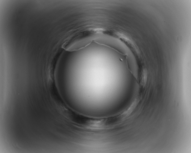 X0000088860170200706081159