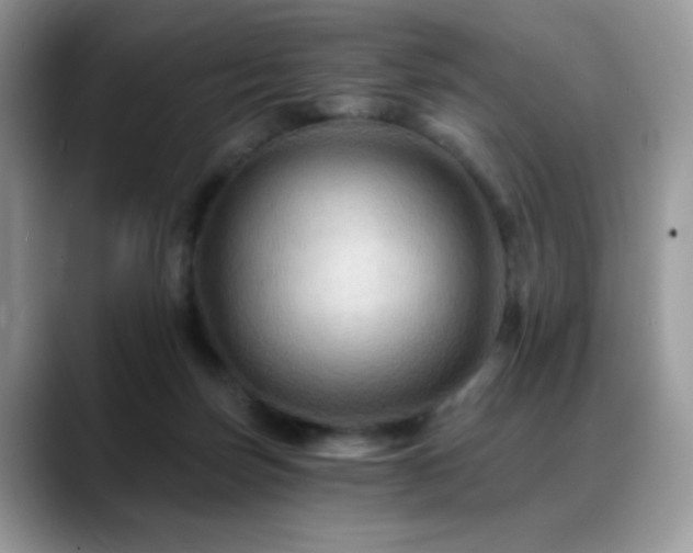 X0000088860171200706081159