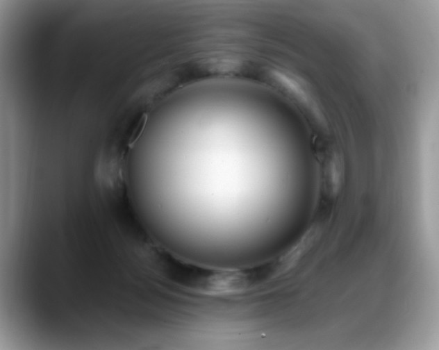 X0000088860172200706081159