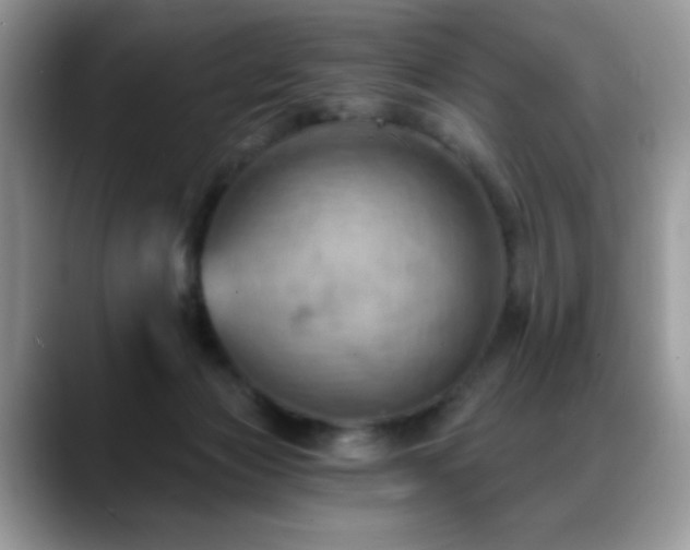 X0000088860173200706081159