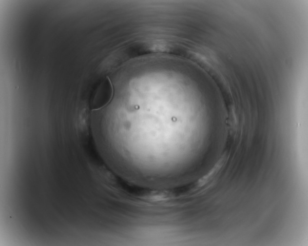 X0000088860175200706081159