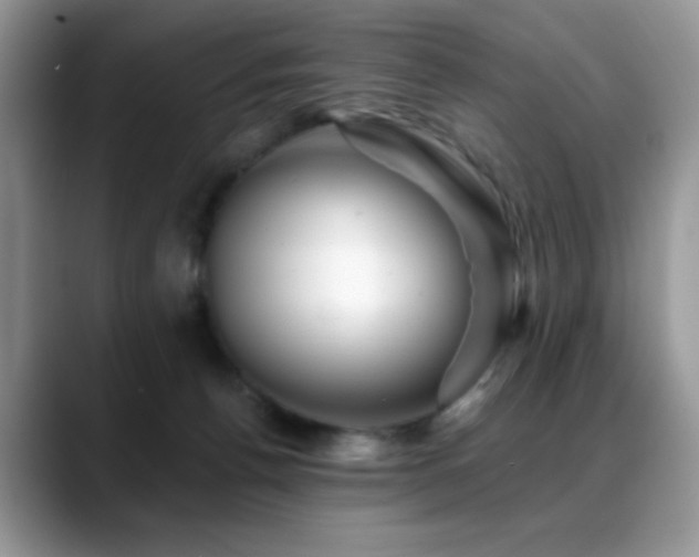 X0000088860176200706081159