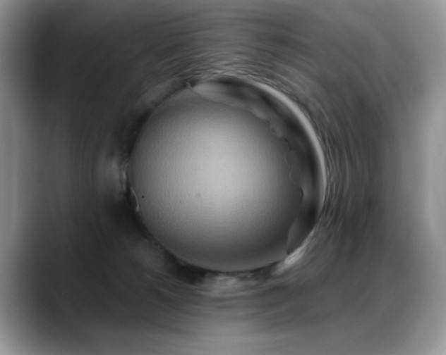 X0000088860180200706081159