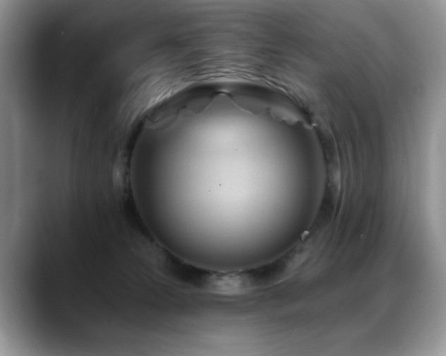 X0000088860181200706081159