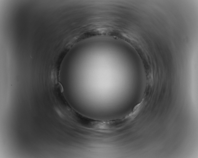 X0000088860182200706081159