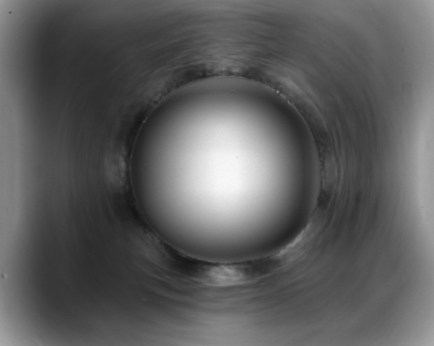 X0000088860183200706081159
