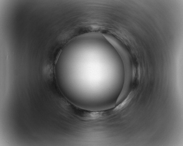 X0000088860184200706081159