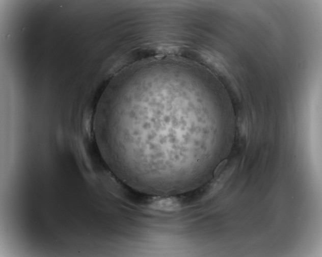 X0000088860185200706081159