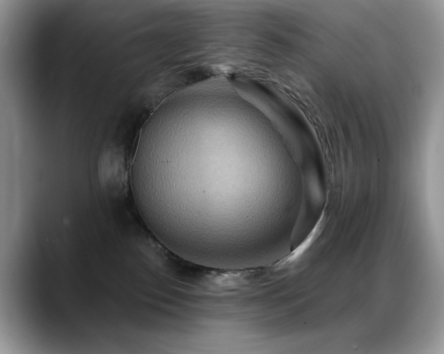 X0000088860186200706081159