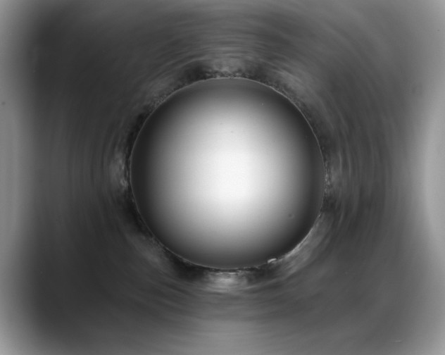 X0000088860187200706081159
