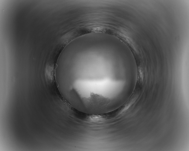 X0000088860189200706081159