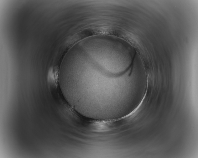 X0000088860190200706081159