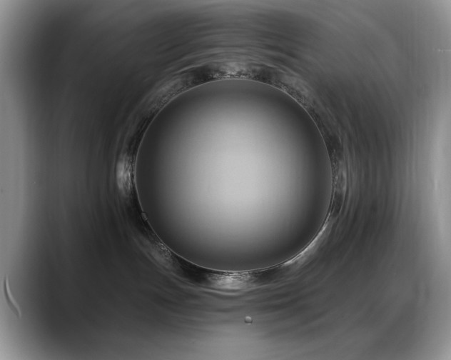 X0000088860191200706081159