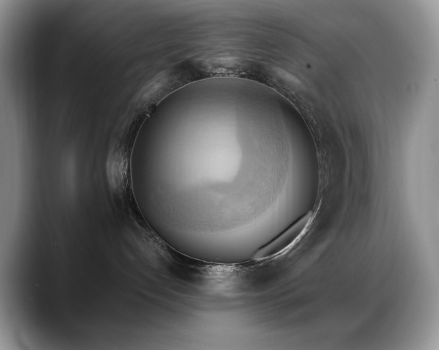 X0000088860192200706081159