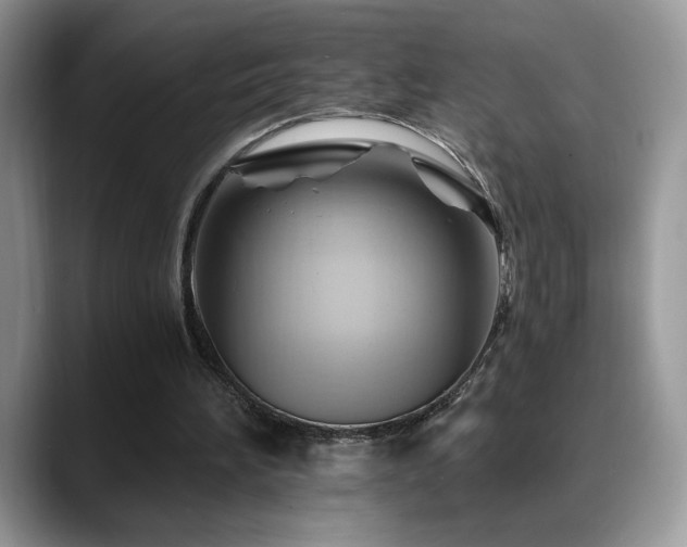 X0000088860196200706081159
