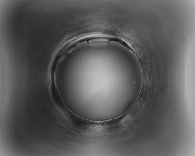 X0000088860198200706081159