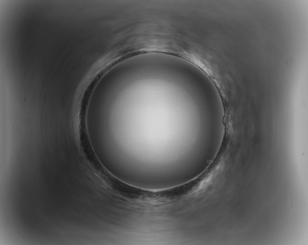 X0000088860199200706081159