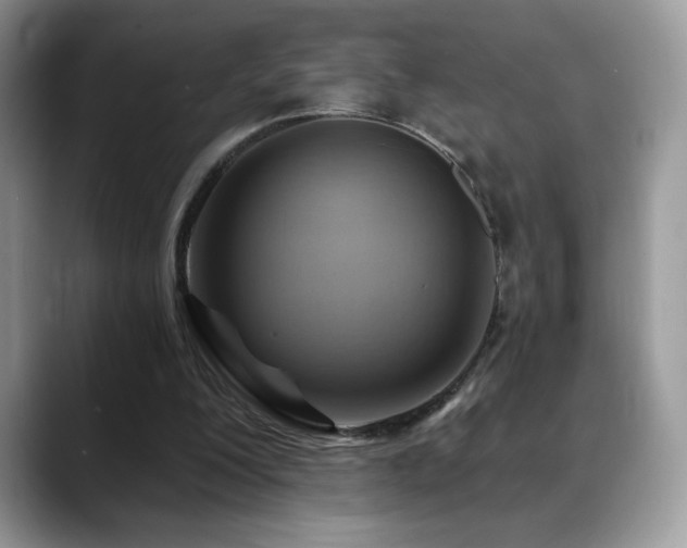 X0000088860200200706081159