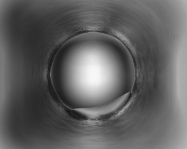 X0000088860201200706081159