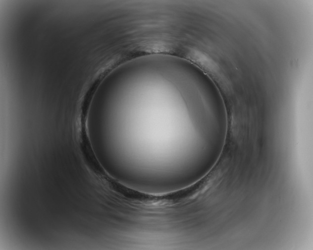 X0000088860202200706081159