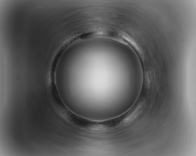 X0000088860203200706081159