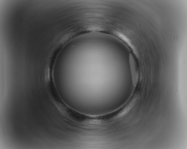 X0000088860205200706081159