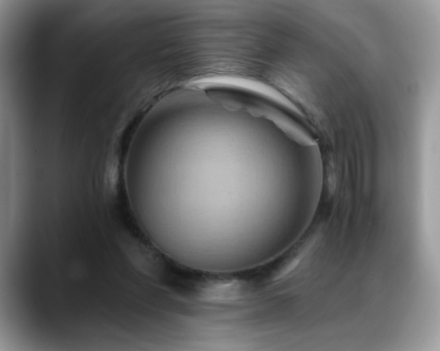X0000088860206200706081159