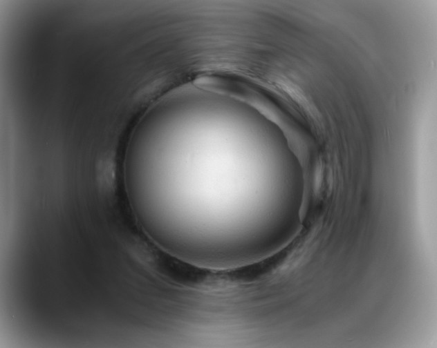 X0000088860207200706081159