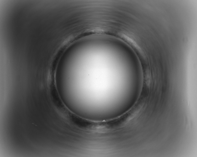 X0000088860208200706081159