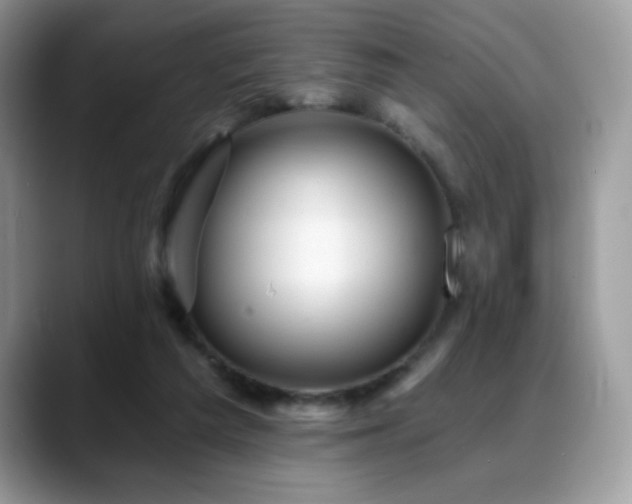 X0000088860209200706081159