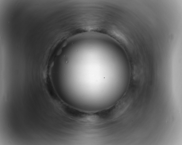X0000088860210200706081159