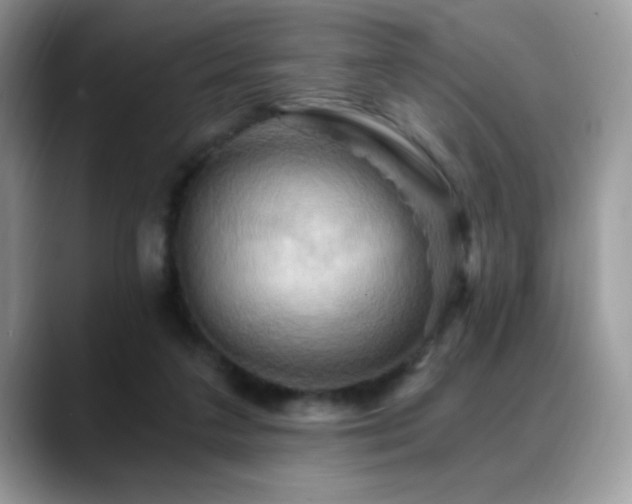 X0000088860211200706081159