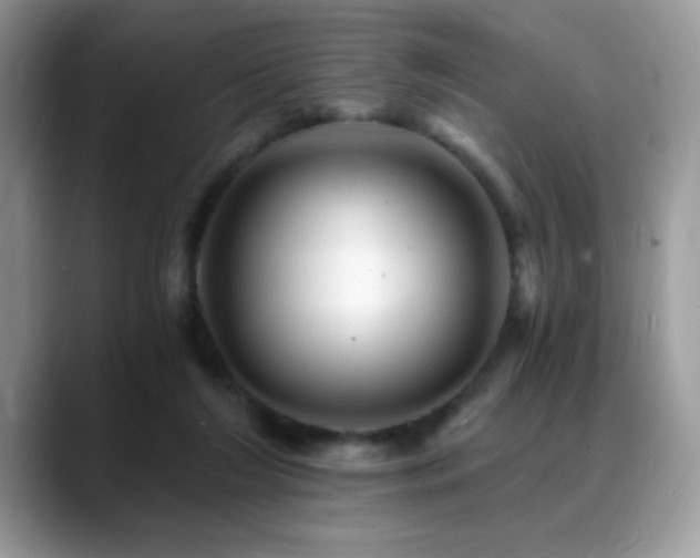 X0000088860212200706081158