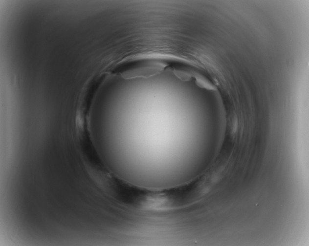 X0000088860214200706081158