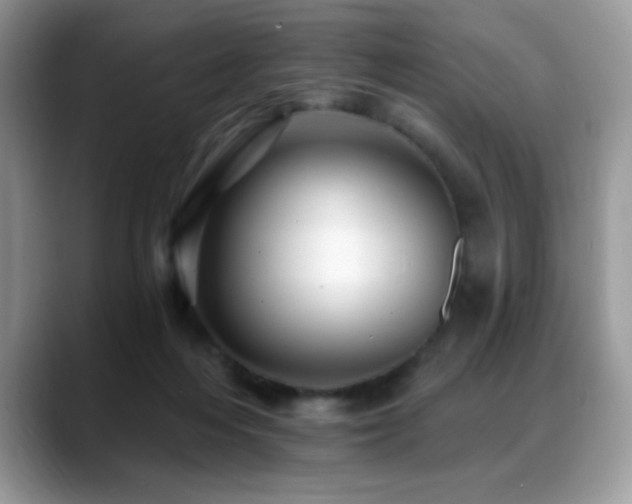 X0000088860216200706081158