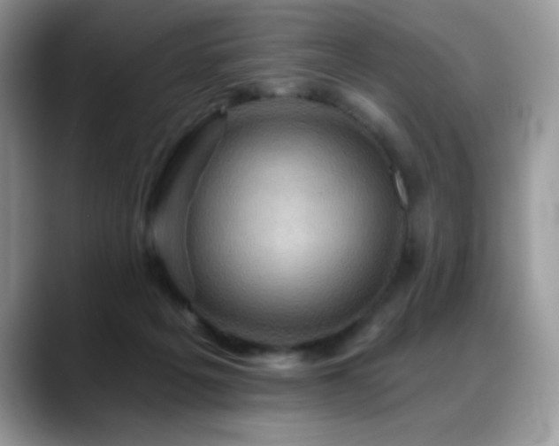 X0000088860217200706081158
