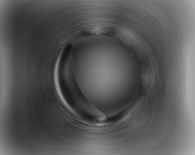 X0000088860219200706081158