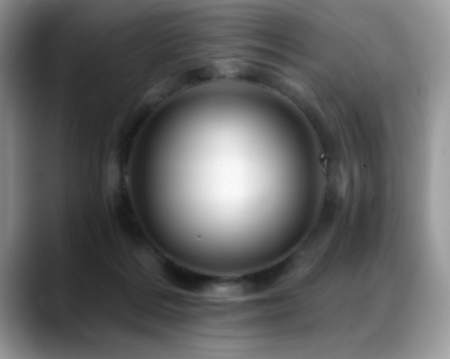 X0000088860220200706081158