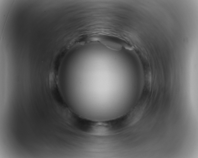 X0000088860222200706081158