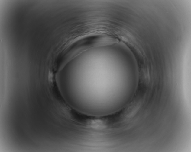 X0000088860224200706081158
