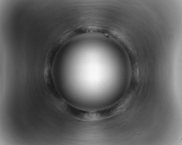 X0000088860225200706081158
