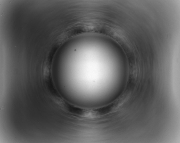X0000088860226200706081158