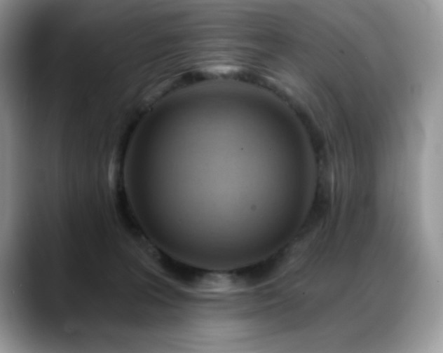 X0000088860227200706081158