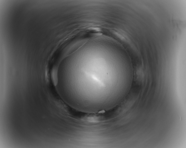 X0000088860228200706081158