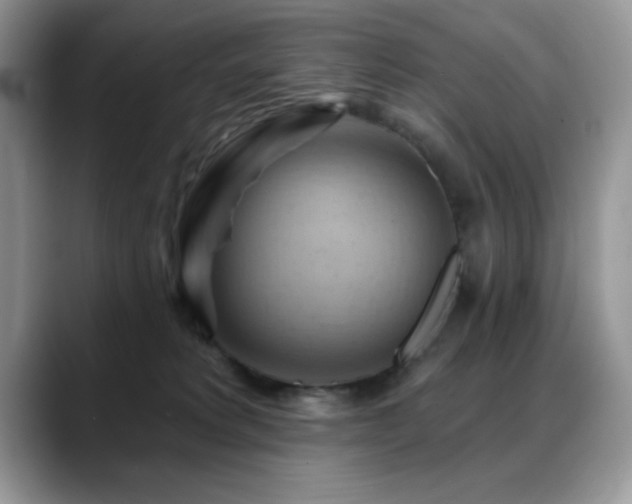 X0000088860229200706081158