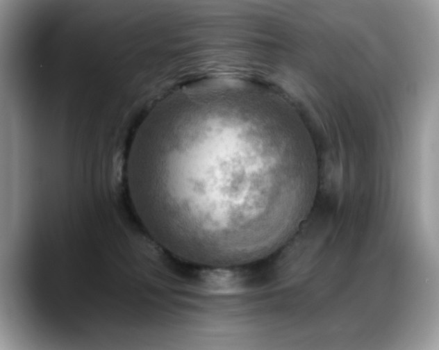 X0000088860230200706081158