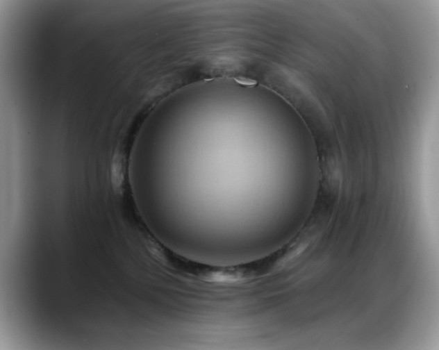 X0000088860232200706081158