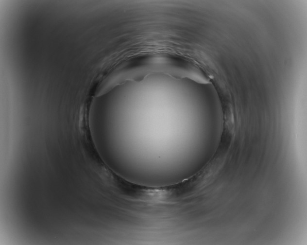 X0000088860233200706081158