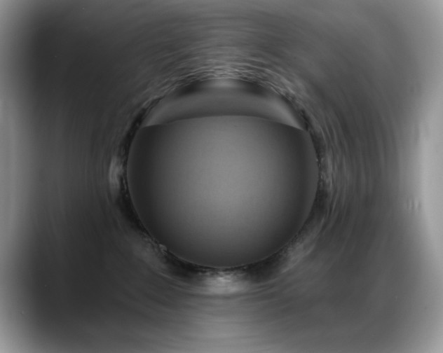 X0000088860235200706081158