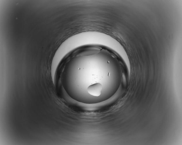 X0000088860237200706081158
